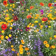 Mixed wildflower seeds for sale  Delivered anywhere in UK