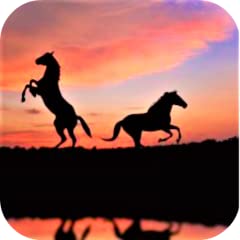 Horses wallpaper for sale  Delivered anywhere in Canada