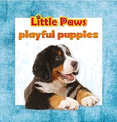 Little paws playful for sale  Delivered anywhere in USA 