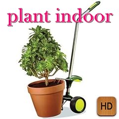 Plant indoor tips for sale  Delivered anywhere in USA 