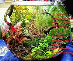 Glass handmade large for sale  Delivered anywhere in UK