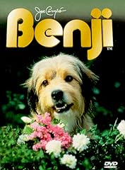 Benji usato  Spedito ovunque in Italia 