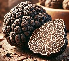Black truffle mushroom for sale  Delivered anywhere in USA 