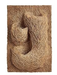 Swell reptiles coco for sale  Delivered anywhere in UK
