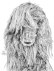 Afghan hound cards for sale  Delivered anywhere in USA 