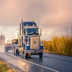 Truck trial race gebraucht kaufen  Wird an jeden Ort in Deutschland