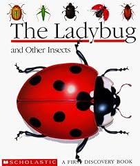 Ladybug insects for sale  Delivered anywhere in USA 