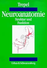 Neuroanatomie. struktur und d'occasion  Livré partout en France