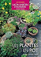 Plantes pot d'occasion  Livré partout en France