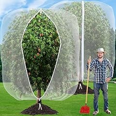 Tmfsode pack fruit for sale  Delivered anywhere in USA 