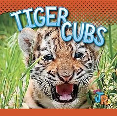 Tiger cubs d'occasion  Livré partout en France