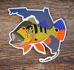 Peacock bass florida for sale  Delivered anywhere in USA 