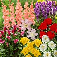 One garden kit for sale  Delivered anywhere in USA 