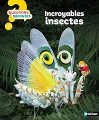 Insectes questions réponses d'occasion  Livré partout en France