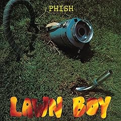 Lawn boy for sale  Delivered anywhere in USA 