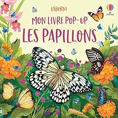 Papillons livre pop d'occasion  Livré partout en France