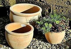 Kunert keramik pflanzkübel gebraucht kaufen  Wird an jeden Ort in Deutschland