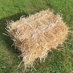 Naturel botte foin d'occasion  Livré partout en France