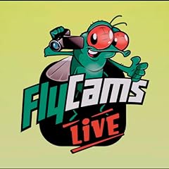 Flycams live band for sale  Delivered anywhere in UK