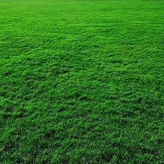 20kg tough lawn for sale  Delivered anywhere in UK