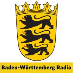Radio baden wuerttemberg gebraucht kaufen  Wird an jeden Ort in Deutschland