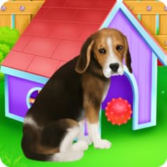 Beagle puppy day for sale  Delivered anywhere in UK