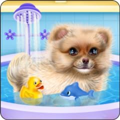 Pomeranian puppy day for sale  Delivered anywhere in USA 
