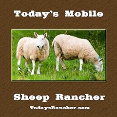 Today mobile sheep for sale  Delivered anywhere in UK