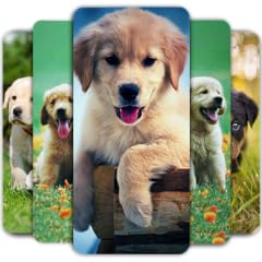 Puppy wallpaper cute for sale  Delivered anywhere in UK