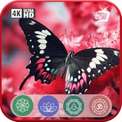 Butterfly serenity sofortigen gebraucht kaufen  Wird an jeden Ort in Deutschland
