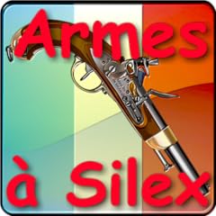 Armes silex expliquées d'occasion  Livré partout en France