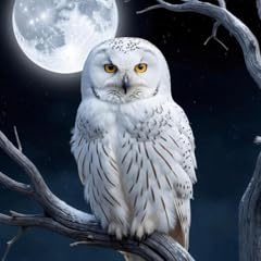 Owl wallpaper live for sale  Delivered anywhere in UK