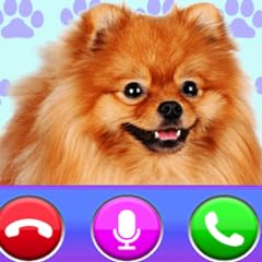 Cute dog video for sale  Delivered anywhere in USA 