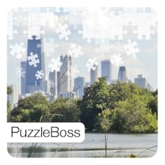 Chicago jigsaw puzzles for sale  Delivered anywhere in USA 