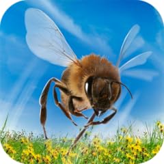 Wasp simulator insect usato  Spedito ovunque in Italia 
