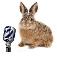 Rabbit voice recorder for sale  Delivered anywhere in UK