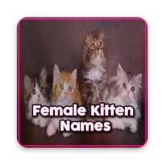 Female kitten names for sale  Delivered anywhere in UK