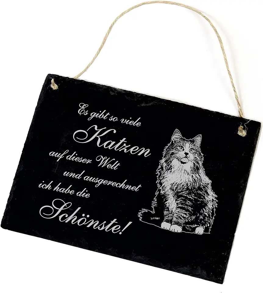Gebruikt, Bord leistenen bord - Ich habe die schönste kat | Noorse boskat - Dekoschild 22x16cm tweedehands  