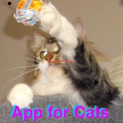 Toy app cats for sale  Delivered anywhere in USA 