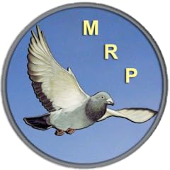 Racing pigeon speed for sale  Delivered anywhere in USA 