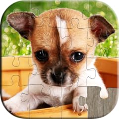 Cute dog puppy for sale  Delivered anywhere in USA 