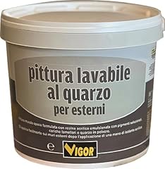 Vigor pittura lavabile usato  Spedito ovunque in Italia 