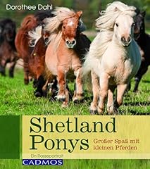 Shetlandponys großer spaß gebraucht kaufen  Wird an jeden Ort in Deutschland