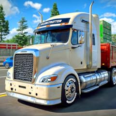 Truck cargo driver usato  Spedito ovunque in Italia 