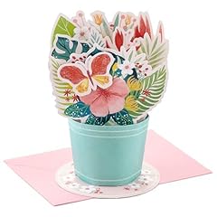 Hallmark paper wonder gebraucht kaufen  Wird an jeden Ort in Deutschland