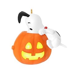 Hallmark keepsake halloween for sale  Delivered anywhere in USA 