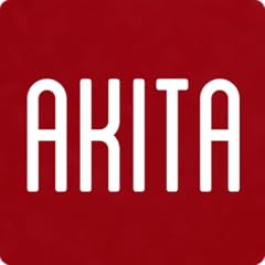 Akita japanese dictionary for sale  Delivered anywhere in UK