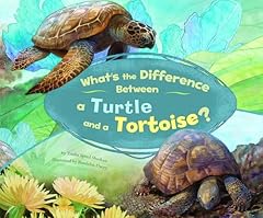 Difference turtle tortoise for sale  Delivered anywhere in USA 