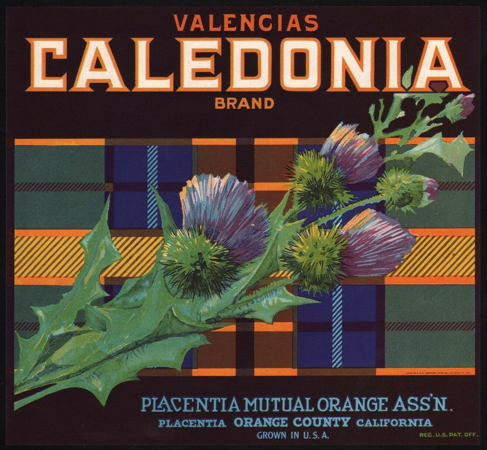 Vintage label caledonia for sale  USA