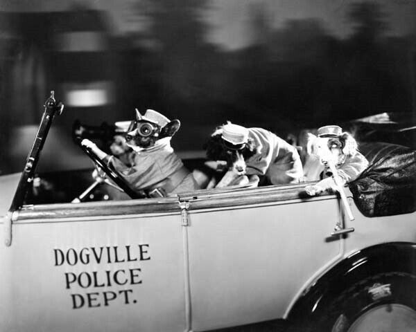 Dogville police dept for sale  USA